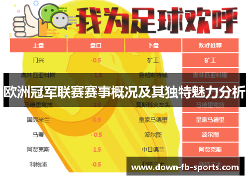 欧洲冠军联赛赛事概况及其独特魅力分析