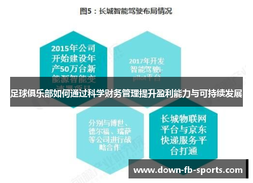 足球俱乐部如何通过科学财务管理提升盈利能力与可持续发展 足球俱乐部如何通过科学财务管理提升盈利能力与可持续发展