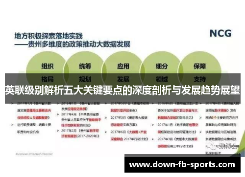 英联级别解析五大关键要点的深度剖析与发展趋势展望