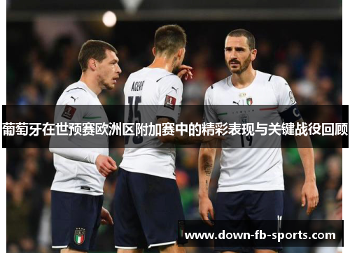 葡萄牙在世预赛欧洲区附加赛中的精彩表现与关键战役回顾 葡萄牙在世预赛欧洲区附加赛中的精彩表现与关键战役回顾